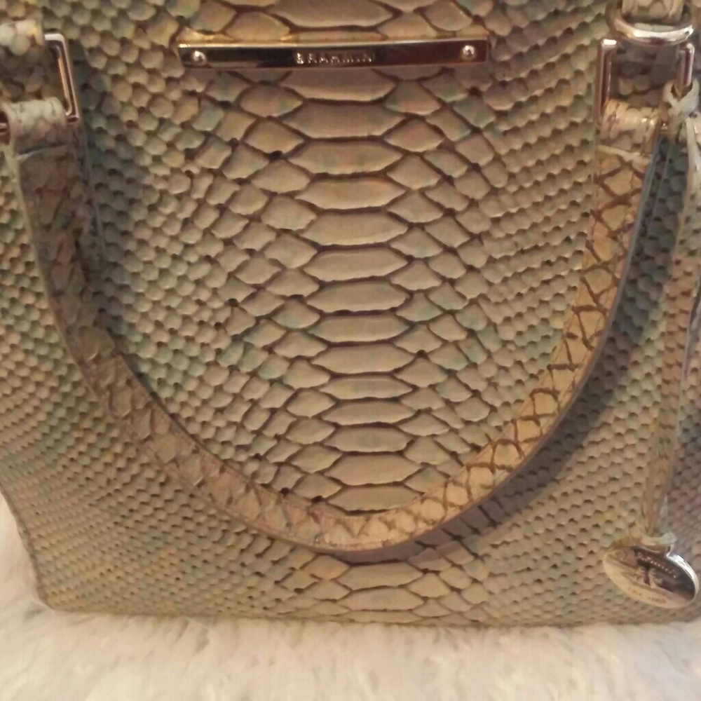 Brahmin purse